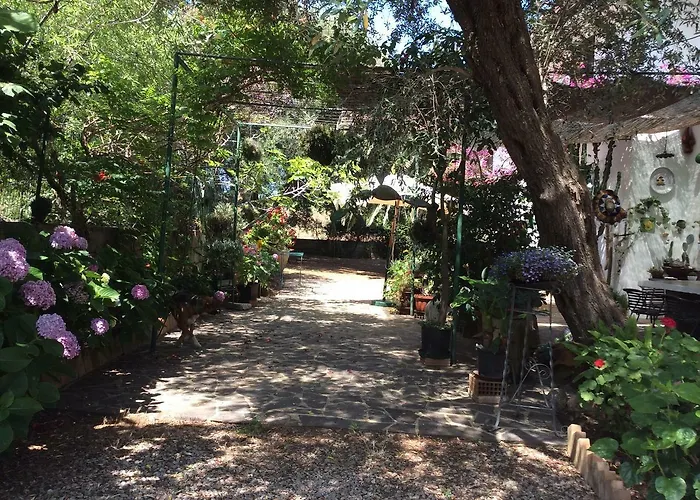 Alojamento de Acomodação e Pequeno-almoço Isabella Zambrone