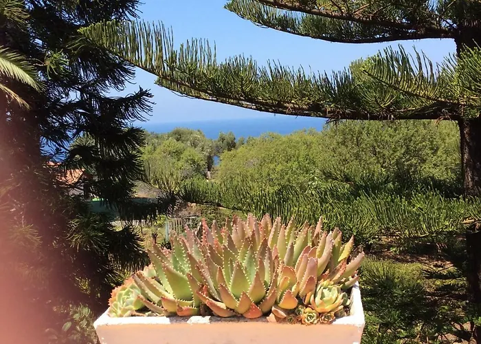 Isabella זמברונה